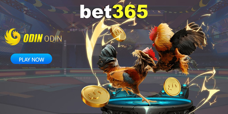 Cá Cược Casino Và Trò Chơi Trực Tuyến